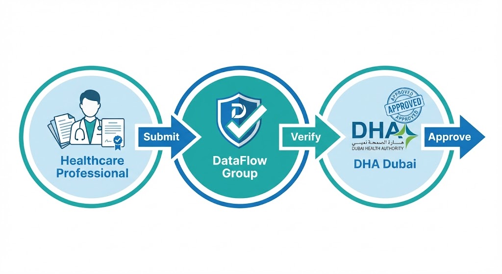 DataFlow Primary Source Verification workflow diagram showing document submission, verification, and DHA approval process
